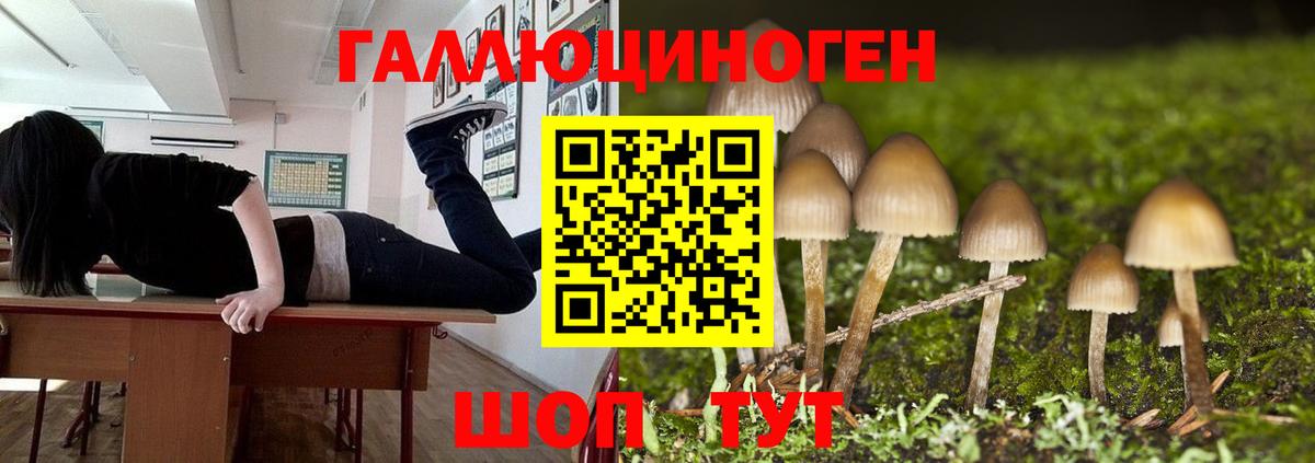 Галлюциногенные грибы ЛСД Ялуторовск