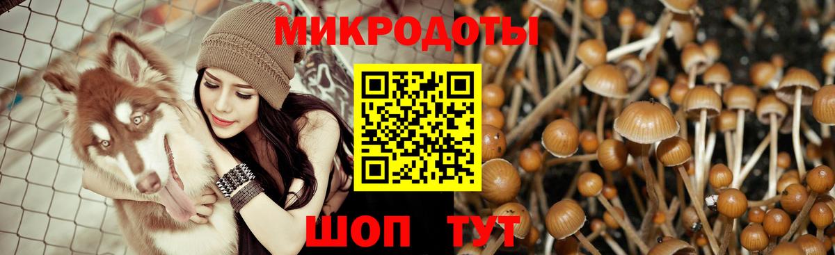 Ялуторовск  Псилоцибиновые грибы GOLDEN TEACHER  Вход с VPN  где продают   Галлюциногенные грибы мицелий 